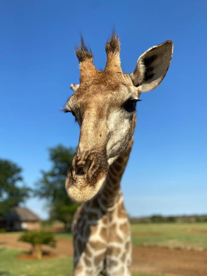 Morakane Safari Lodge Vryburg エクステリア 写真